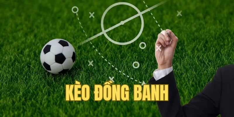 Nên dựa vào phong độ và quan sát đội bóng kỹ càng trước khi cược