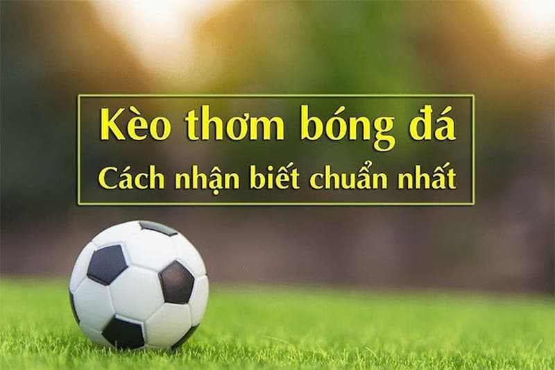 Cách nhận biết được kèo thơm cho tân thủ